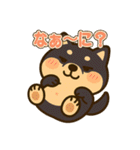 コロタンプ03（個別スタンプ：29）