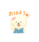 ビションフリーゼ もふさんのスタンプ（個別スタンプ：1）