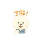 ビションフリーゼ もふさんのスタンプ（個別スタンプ：3）