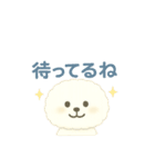 ビションフリーゼ もふさんのスタンプ（個別スタンプ：13）