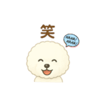 ビションフリーゼ もふさんのスタンプ（個別スタンプ：15）