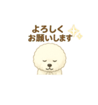 ビションフリーゼ もふさんのスタンプ（個別スタンプ：26）