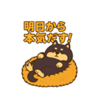 コロタンプ02（個別スタンプ：28）