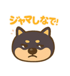 コロタンプ02（個別スタンプ：35）