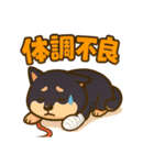 コロタンプ02（個別スタンプ：38）