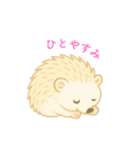 ハリネズミの日常.⭐︎（個別スタンプ：8）