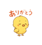 ピヨ助のご挨拶（個別スタンプ：1）