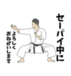 空手用語でひとこと～形～【ver.2】（個別スタンプ：29）
