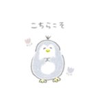 えんぴつぺんぎん【修正版】（個別スタンプ：1）