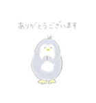 えんぴつぺんぎん【修正版】（個別スタンプ：3）