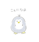 えんぴつぺんぎん【修正版】（個別スタンプ：6）