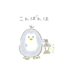 えんぴつぺんぎん【修正版】（個別スタンプ：7）