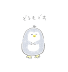 えんぴつぺんぎん【修正版】（個別スタンプ：11）
