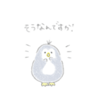 えんぴつぺんぎん【修正版】（個別スタンプ：31）