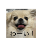 ぽん オリジナルスタンプ（個別スタンプ：3）