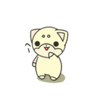 シバかりの日常スタンプ(白柴ver.)（個別スタンプ：1）