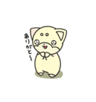 シバかりの日常スタンプ(白柴ver.)（個別スタンプ：6）