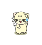 シバかりの日常スタンプ(白柴ver.)（個別スタンプ：12）