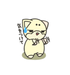 シバかりの日常スタンプ(白柴ver.)（個別スタンプ：33）