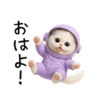 リアル宇宙ねこ（個別スタンプ：1）
