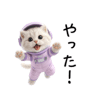 リアル宇宙ねこ（個別スタンプ：15）