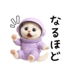 リアル宇宙ねこ（個別スタンプ：22）