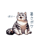 夏バテ猫ちゃん【かわいい・連絡】（個別スタンプ：1）