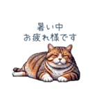 夏バテ猫ちゃん【かわいい・連絡】（個別スタンプ：9）