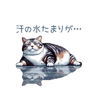 夏バテ猫ちゃん【かわいい・連絡】（個別スタンプ：13）