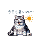 夏バテ猫ちゃん【かわいい・連絡】（個別スタンプ：14）