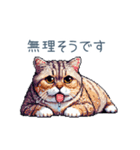 夏バテ猫ちゃん【かわいい・連絡】（個別スタンプ：16）