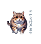 夏バテ猫ちゃん【かわいい・連絡】（個別スタンプ：17）