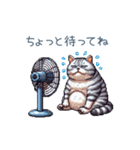 夏バテ猫ちゃん【かわいい・連絡】（個別スタンプ：19）