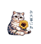 夏バテ猫ちゃん【かわいい・連絡】（個別スタンプ：20）