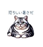 夏バテ猫ちゃん【かわいい・連絡】（個別スタンプ：24）