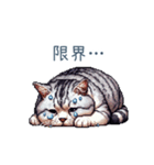 夏バテ猫ちゃん【かわいい・連絡】（個別スタンプ：26）