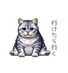 夏バテ猫ちゃん【かわいい・連絡】（個別スタンプ：29）