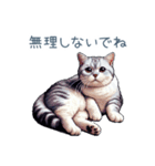 夏バテ猫ちゃん【かわいい・連絡】（個別スタンプ：31）