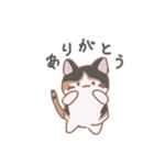 こてこてにゃんこ＋（個別スタンプ：26）