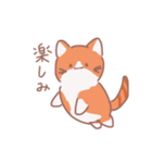 こてこてにゃんこ＋（個別スタンプ：37）