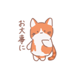 こてこてにゃんこ＋（個別スタンプ：39）