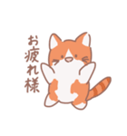 こてこてにゃんこ＋（個別スタンプ：40）
