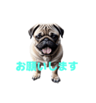 パグ J（個別スタンプ：12）