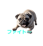パグ J（個別スタンプ：17）