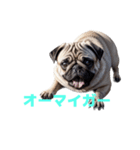 パグ J（個別スタンプ：33）