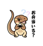 トカゲ＆イモリ＆カナヘビの日常スタンプ（個別スタンプ：6）