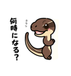 トカゲ＆イモリ＆カナヘビの日常スタンプ（個別スタンプ：10）