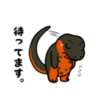 トカゲ＆イモリ＆カナヘビの日常スタンプ（個別スタンプ：11）