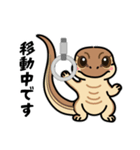 トカゲ＆イモリ＆カナヘビの日常スタンプ（個別スタンプ：13）