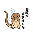 トカゲ＆イモリ＆カナヘビの日常スタンプ（個別スタンプ：16）